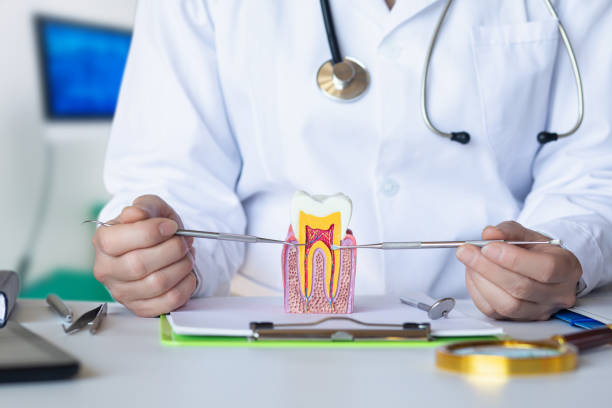 Best Emergency Dentist for Lost Fillings or Crowns in Barberton, WA